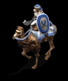 Heavycamel