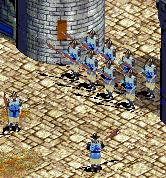 Flemish Infantry