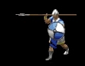 Eliteskimisher