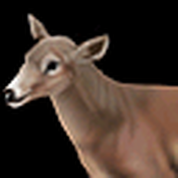 Deer Age Of Empires Series Wiki Fandom