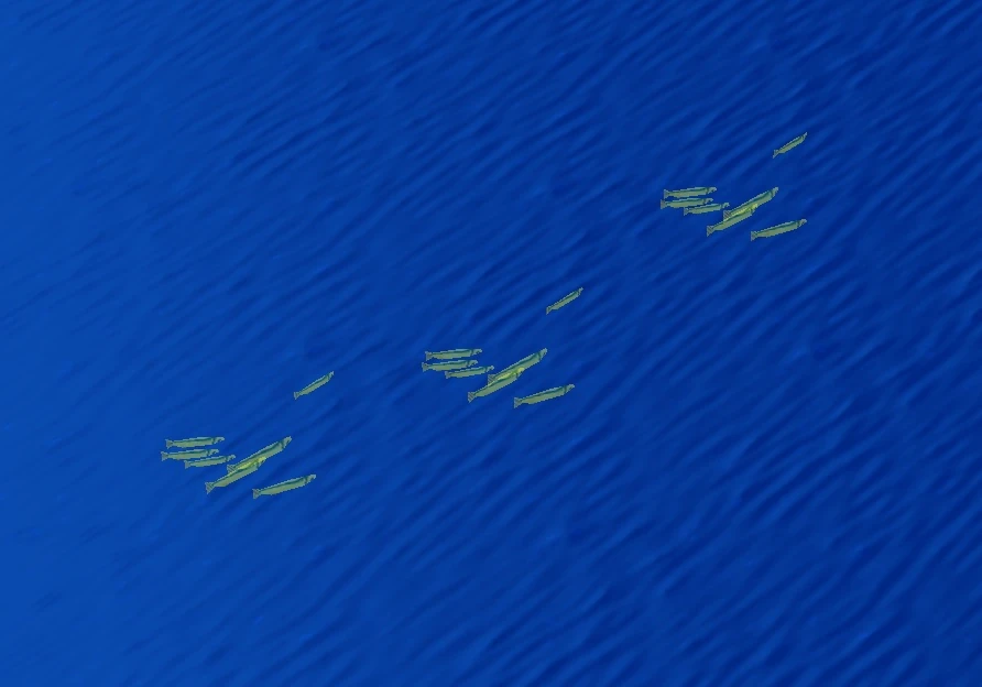 Mahimahi Age of Empires Series Wiki FANDOM powered by Wikia