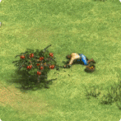 Villager berrybushanim aoe2de