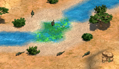 Crocodiles