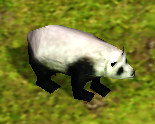 PandaAoM