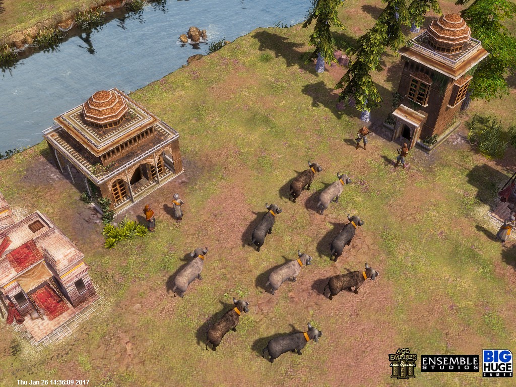 average age of water buffalo average age of water buffalo