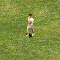 VMDL