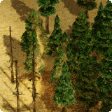 Forestfire anim aom