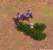 Zamburak melee