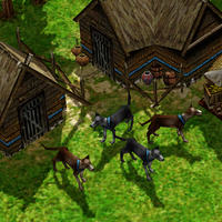 Dog Age Of Empires Series Wiki Fandom