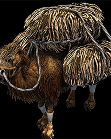 Flaming Camel Age Of Empires Series Wiki Fandom