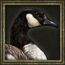 Canada goose icon AOE III
