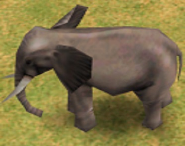 ElephantAOM