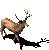 Deer sprite aoe2