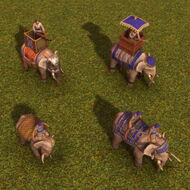 Elephants