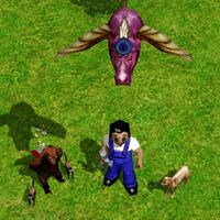 Cheat Codes Age Of Mythology Age Of Empires Series Wiki Fandom