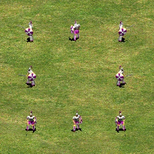 Huskarl Age Of Empires Ii Age Of Empires Series Wiki Fandom