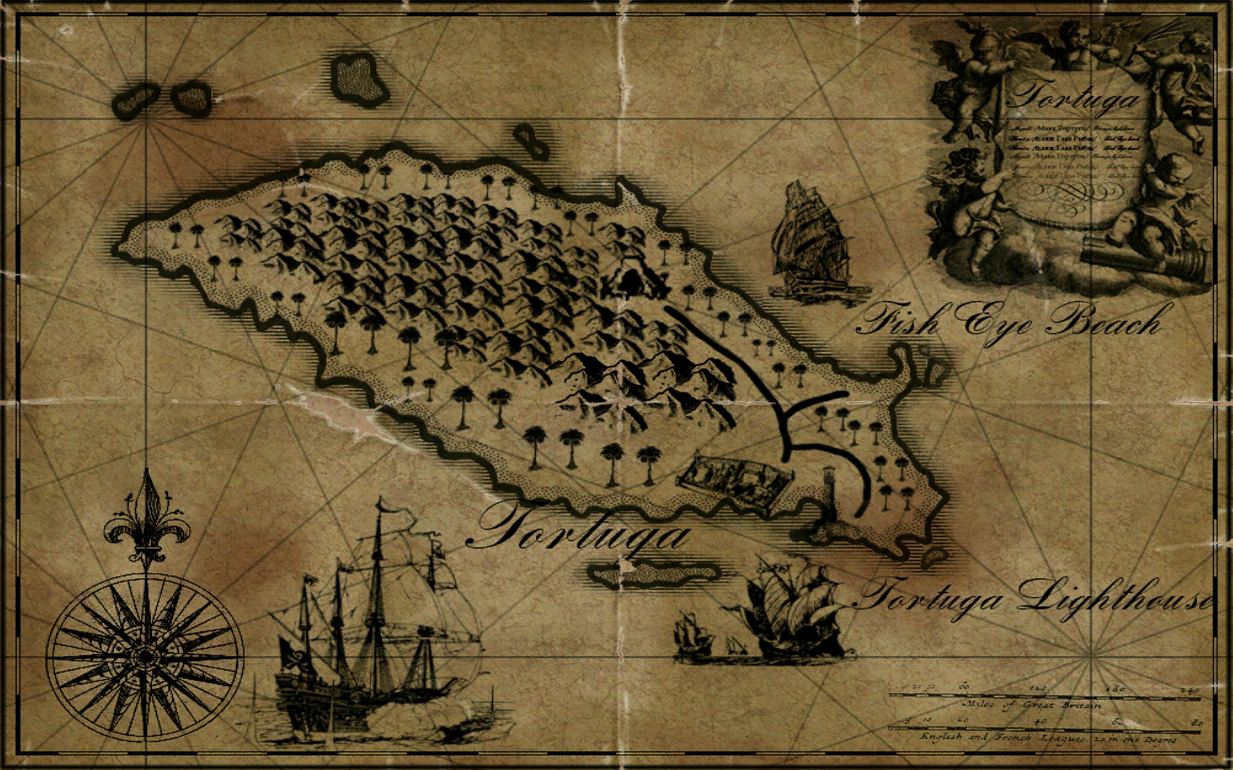 the pirate caribbean hunt tortuga treasure
