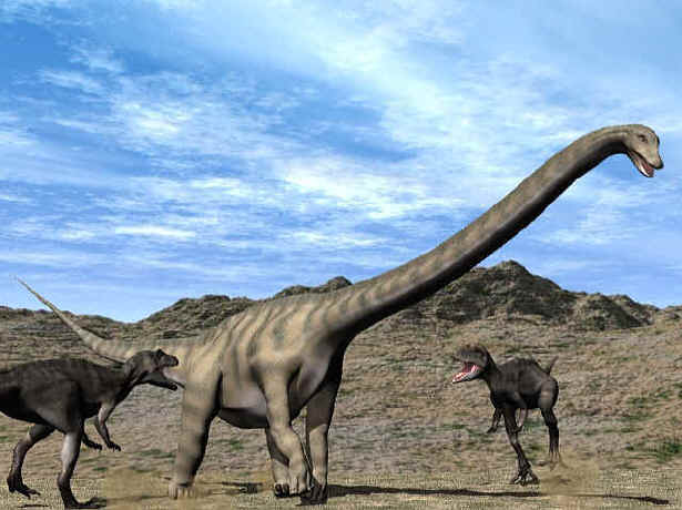 seismosaurus fossil
