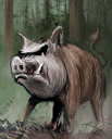 U Boar