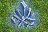 Mana. Map. AoW I