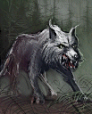 U Wolf