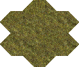 Steppe. AoW I