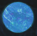 Snapshot 209