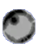 Snapshot 1009