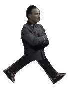 Fegelein-Walking