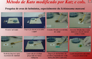 Kato-katz