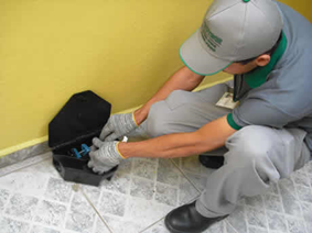 Ratos - controle