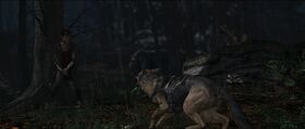Polizeihund