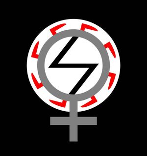 Ksm logo