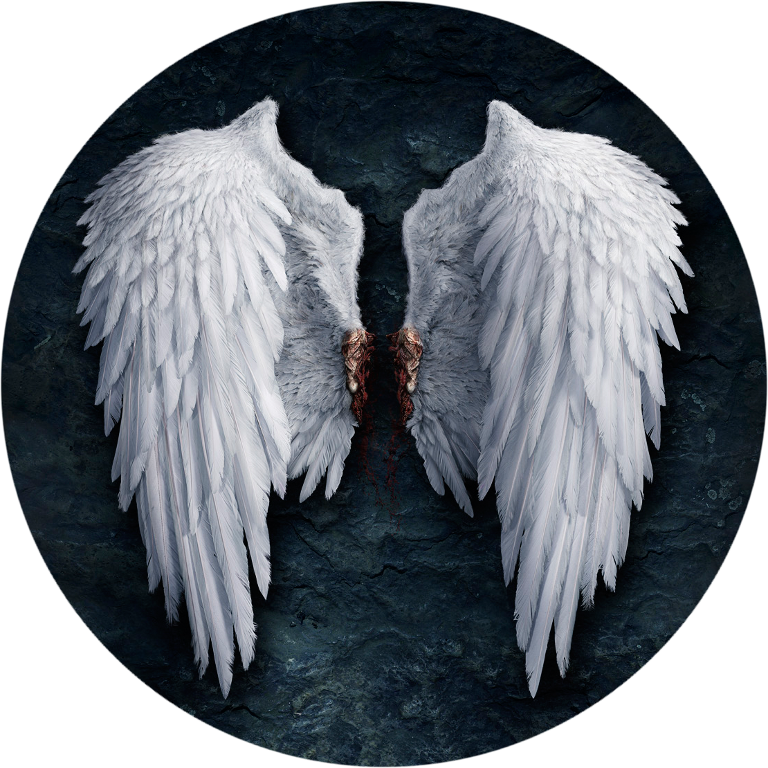 wings aion wiki fandom