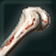 Bone type 1