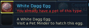 Have egg