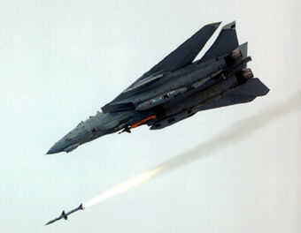 Grumman F 14 Tomcat Aircraft Wiki Fandom
