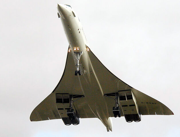 File:Concorde.planview.arp.jpg
