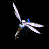 Hornian Guardian