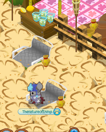 Owls9090 S Beach Den Animal Jam Dens Wiki Fandom