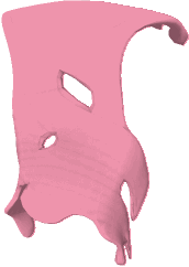 worns animal jam