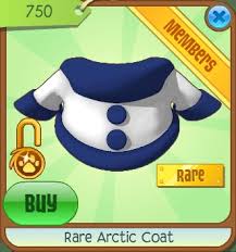 animal jam arctic coat