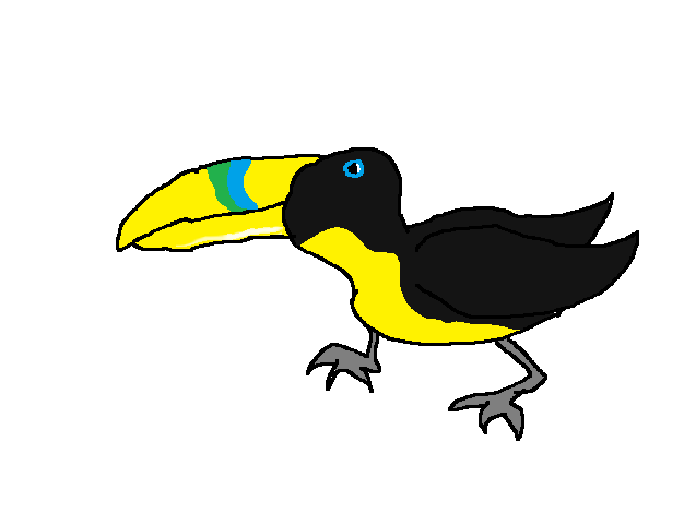 pet toucan animal jam fanon wiki fandom powered by wikia