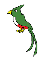 Quetzal