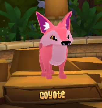 Animal Animal
