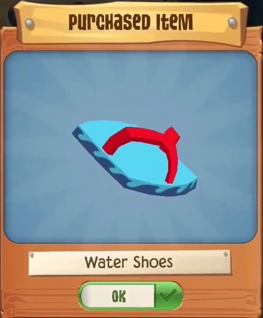 water shoes wiki