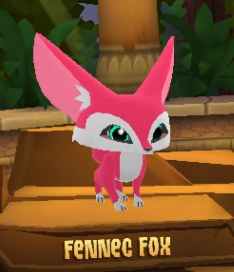 Fennec Fox | Play Wild Wiki | Fandom