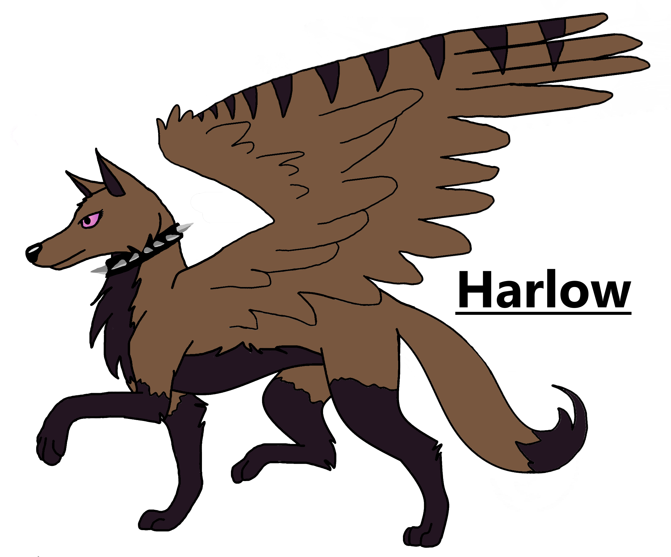 Heroes The Story Of Harlow And Annora Animal Jam Stories Wiki - clip arts man face roblox spider homecoming slender png