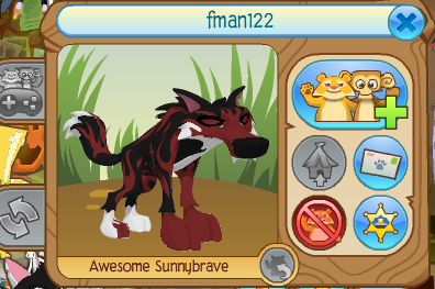 animal jam stories