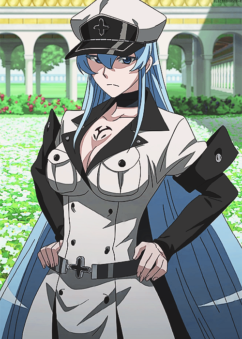 Risultati immagini per esdeath akame